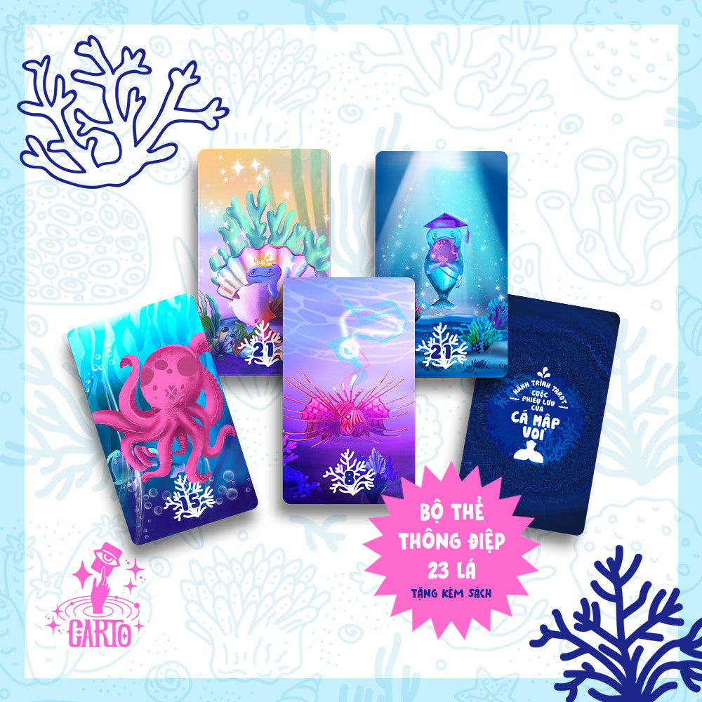 Hành Trình Tarot | Cuộc Phiêu Lưu Của Cá Mập Voi | Board Game VN