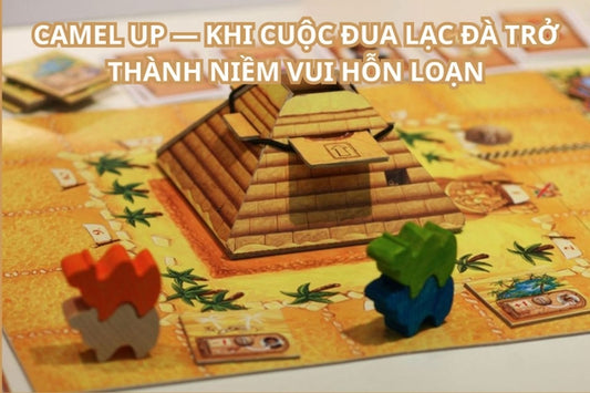 Camel Up — Khi cuộc đua lạc đà trở thành niềm vui hỗn loạn