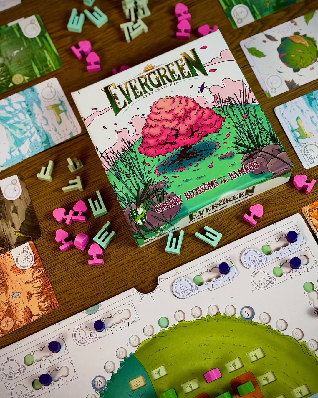 Review Evergreen Cherry Blossoms and Bamboo bản mở rộng