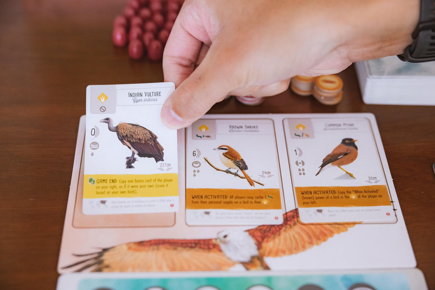 Wingspan: Asia Expansion (Hàng Mới Về)