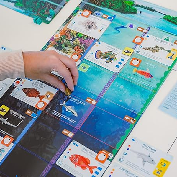 Finspan (Hàng mới về)