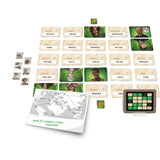Codenames: Duet