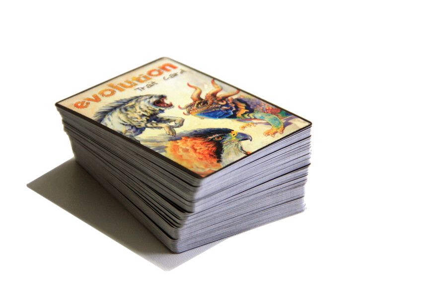 Evolution (Hàng mới về)