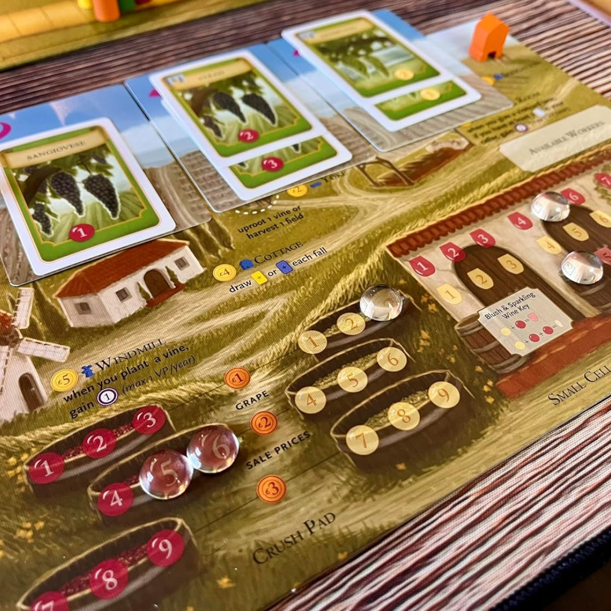 Viticulture: Essential Edition